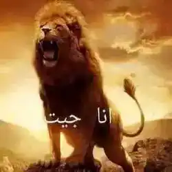 احمد