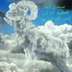 فهد