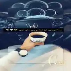وسيم