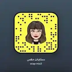 Snap-mix1