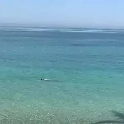 صلاح عصام