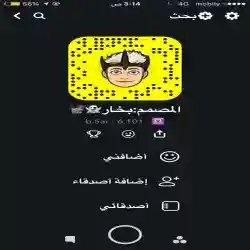 المصمم بخار