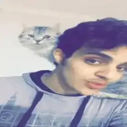 كاريزما