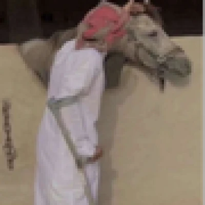 علي