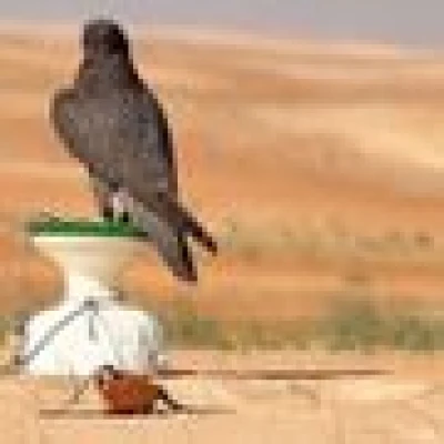 مبارك المنصوري