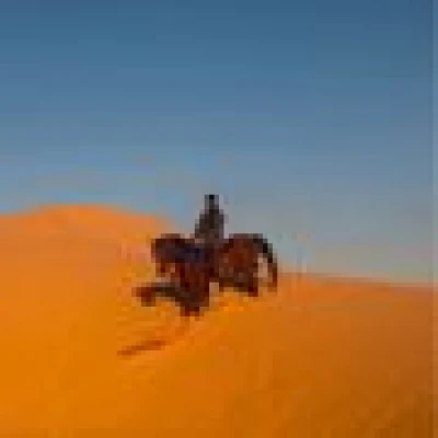 احمد الحقيل