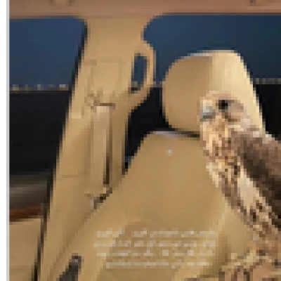 علاوي
