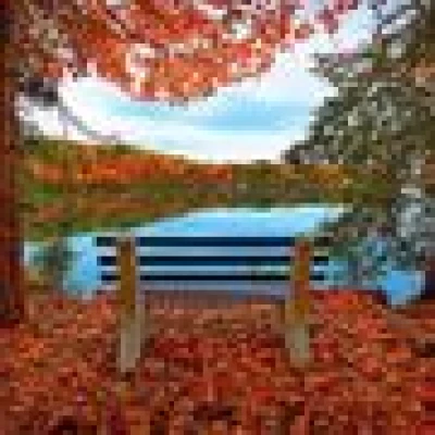 البرنس