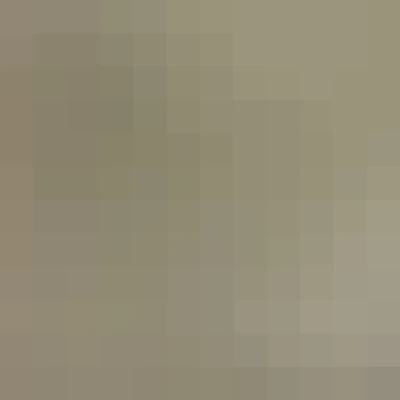 فارس