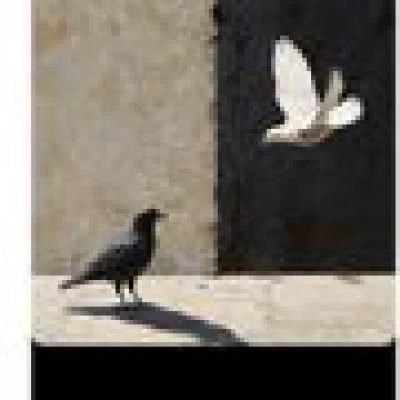 بوسودهه