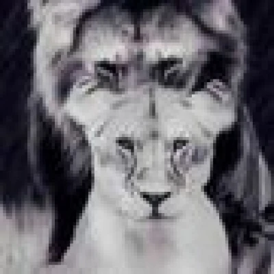 ولد شيوخ