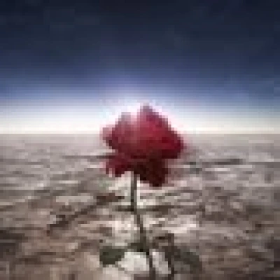 بسوي قروب بنات لكويت