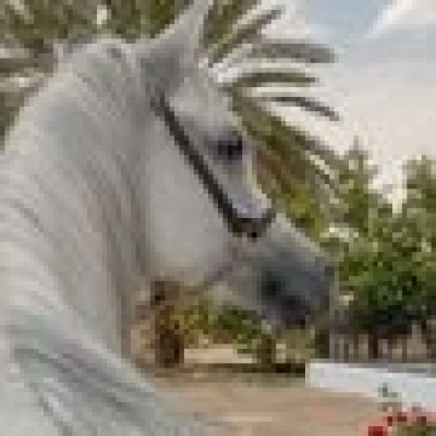 عبدالله