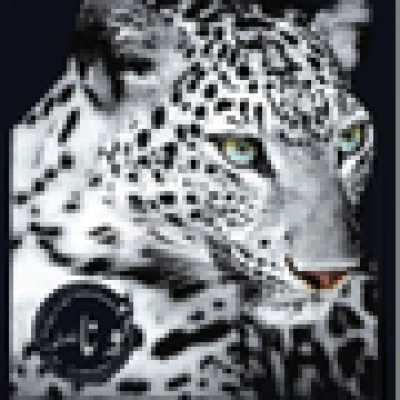 نونا سويت