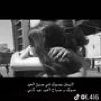 hossam