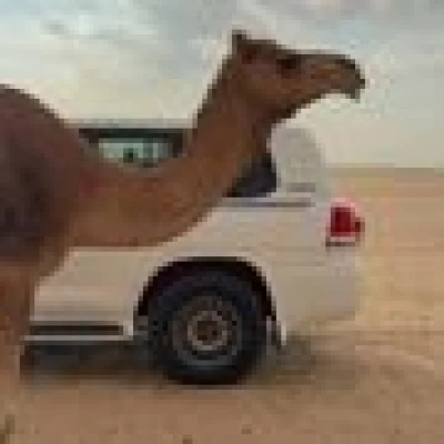 حياكمم