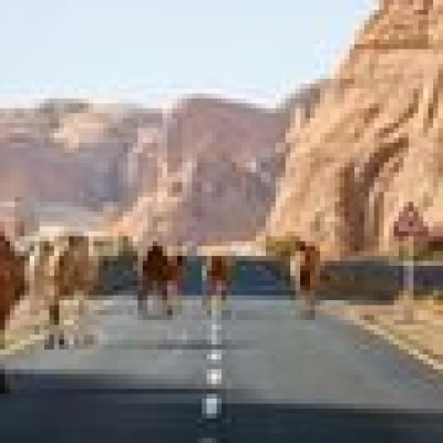 عزف
